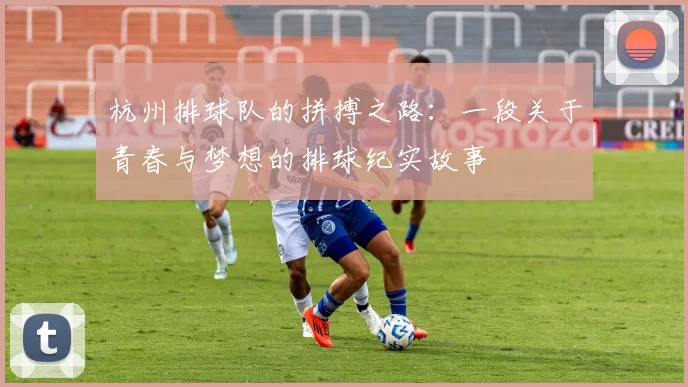 杭州排球队的拼搏之路:一段关于青春与梦想的排球纪实故事