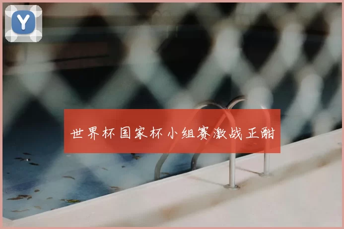世界杯国家杯小组赛激战正酣