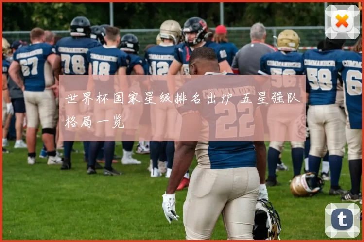 世界杯国家星级排名出炉 五星强队格局一览