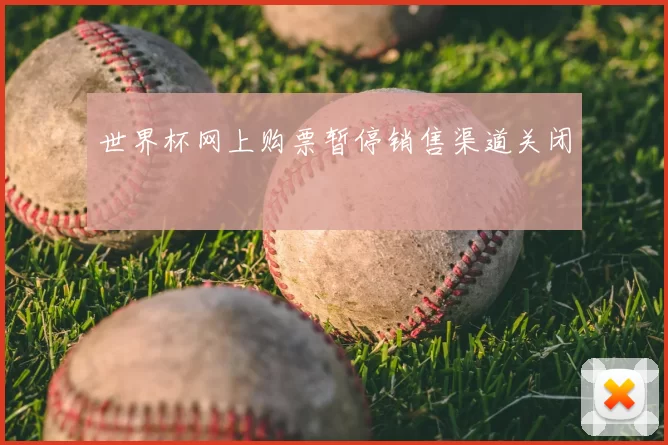 世界杯网上购票暂停销售渠道关闭