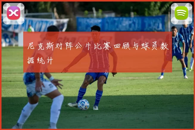 尼克斯对阵公牛比赛回顾与球员数据统计