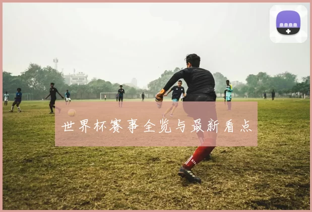 世界杯赛事全览与最新看点