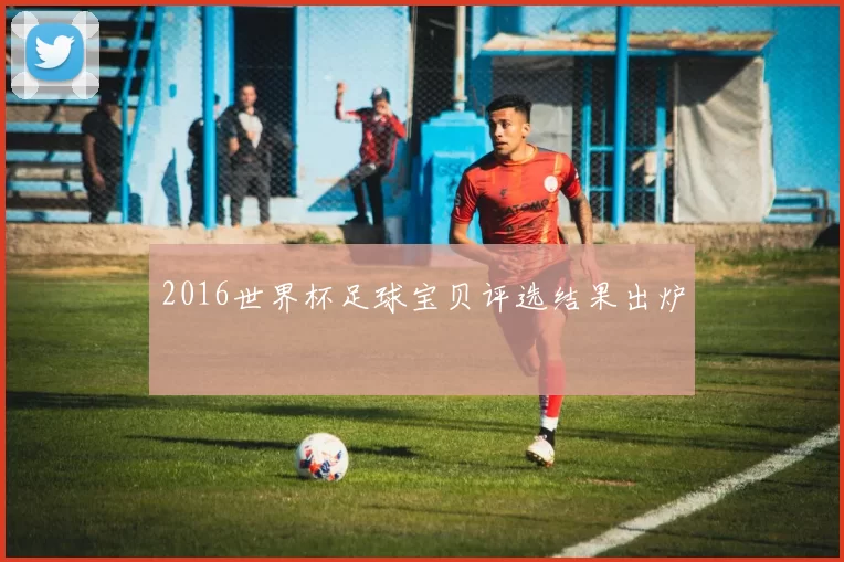 2016世界杯足球宝贝评选结果出炉