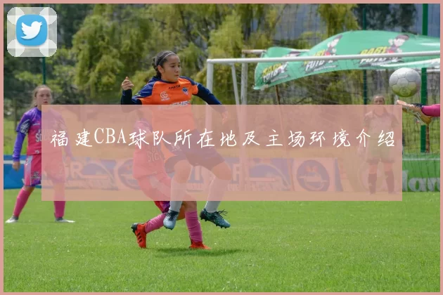 福建CBA球队所在地及主场环境介绍