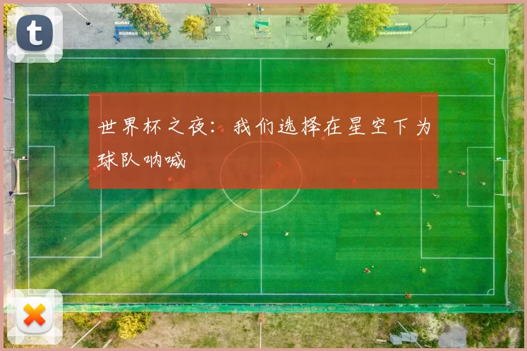 世界杯之夜:我们选择在星空下为球队呐喊
