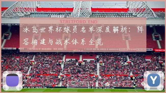 冰岛世界杯球员名单深度解析：阵容构建与战术体系全览