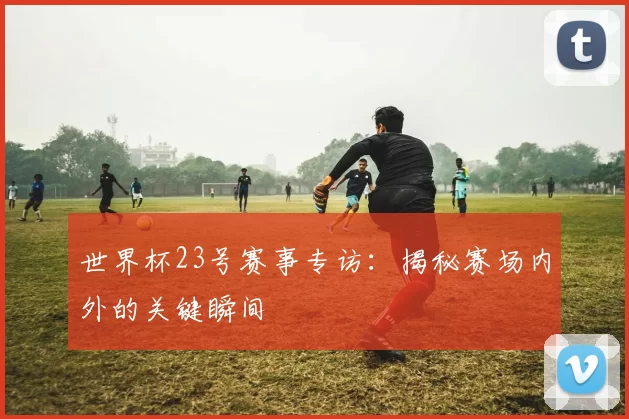 世界杯23号赛事专访：揭秘赛场内外的关键瞬间