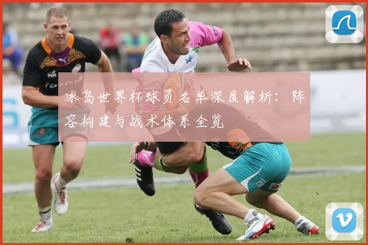 冰岛世界杯球员名单深度解析：阵容构建与战术体系全览