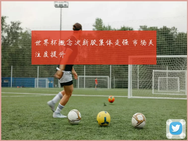 世界杯概念次新股集体走强 市场关注度提升